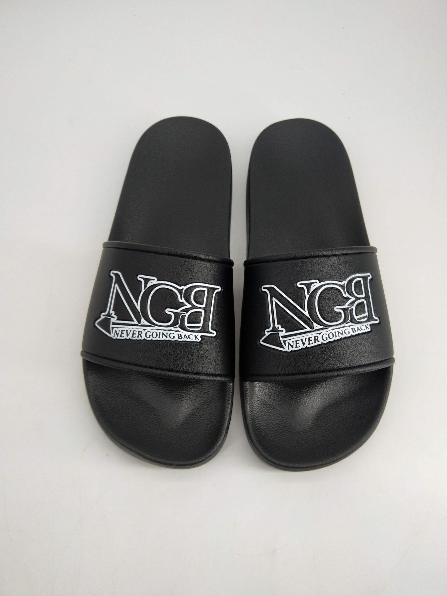 NGB Echo One